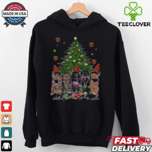 Women’s Cute Cat Merry Christmas Shirt
