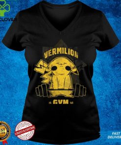 Womens Funny Vintage Vermilion 1998 Gym distressed V Neck T Shirt 2 Womens Funny Vintage Vermilion 1998 Gym distressed V Neck T Shirt