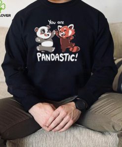 You Are Pandastic Hooded Sweatshirt