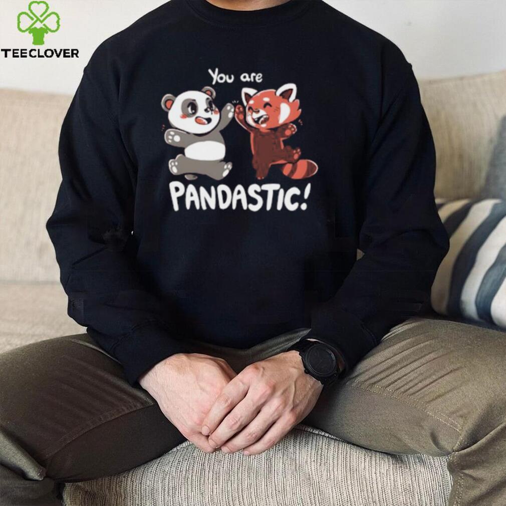 You Are Pandastic Hooded Sweatshirt