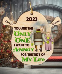 You Are The Only One Personalized Wood Ornament, Gifts For Couple