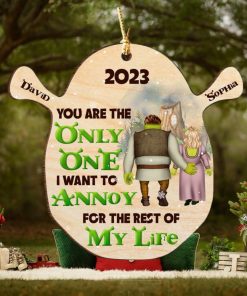 You Are The Only One Personalized Wood Ornament, Gifts For Couple