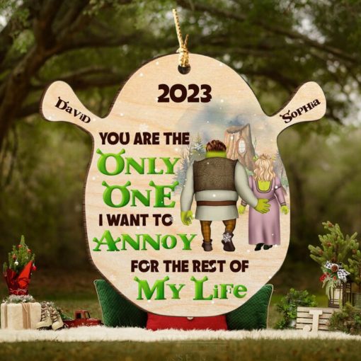 You Are The Only One Personalized Wood Ornament, Gifts For Couple