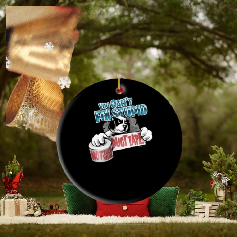 You Can’t Fix Stupid Not Even With Duct Tape Ornament You Can’t Fix Stupid Not Even With Duct Tape Ornament