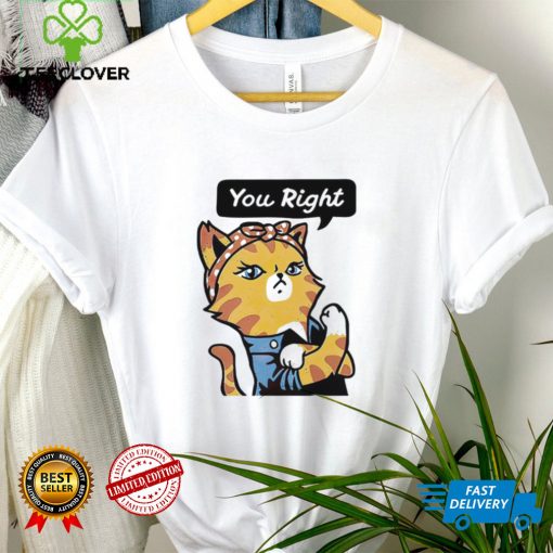 You Right Doja Cat T shirt Doja Cat And The Weekend T shirt Doja Cat Planet Her Album Shirt You Right Shirt