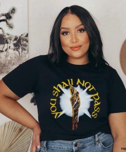 You Shall Not Pass shirt
