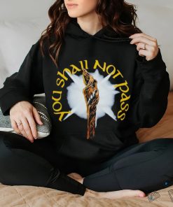 You Shall Not Pass shirt