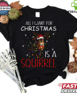 all i want for christmas is a squirrel shirt