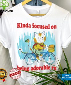 kinda focused on being adorable rn hoodie, sweater, longsleeve, shirt v-neck, t-shirt