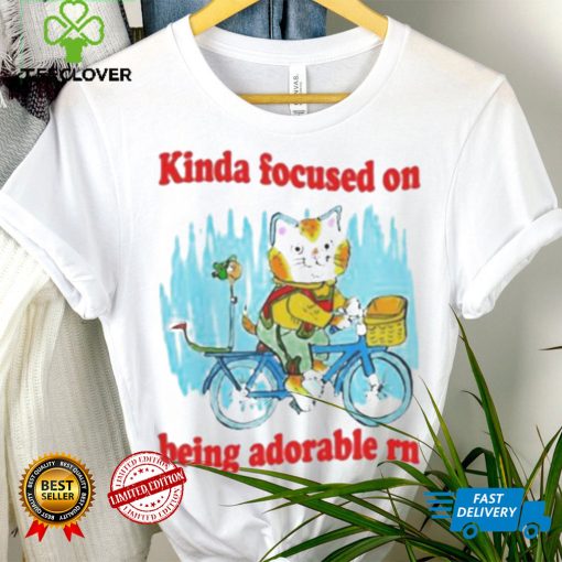 kinda focused on being adorable rn hoodie, sweater, longsleeve, shirt v-neck, t-shirt