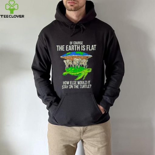 of course the earth is flat how else would it stay on the turtle hoodie, sweater, longsleeve, shirt v-neck, t-shirt